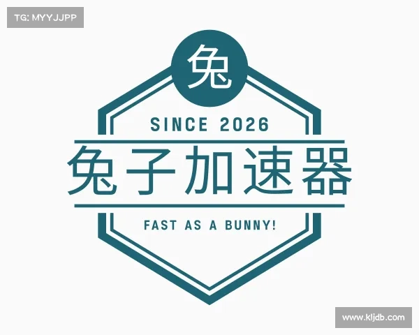 解读兔子加速器